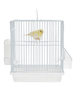 Rainforest Cages Mali - Small Bird Travel Cage - White